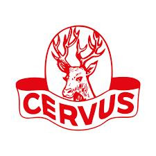 Cervus